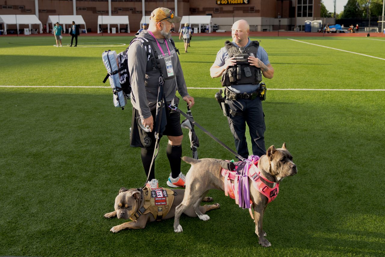 Crafting Captivating Headlines: Your awesome post title goes here Service dogs and handlers on a sunny field, showcasing teamwork and companionship.